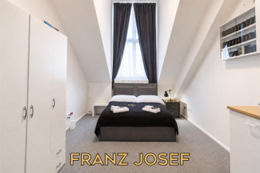 Franz Josef Room